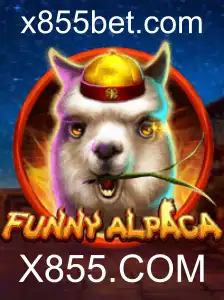 Descubra o Mundo Divertido de FunnyAlpaca: Regras e Dicas para Aproveitar ao Máximo