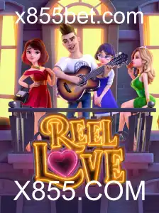 Explorando ReelLove: Tudo o que Você Precisa Saber